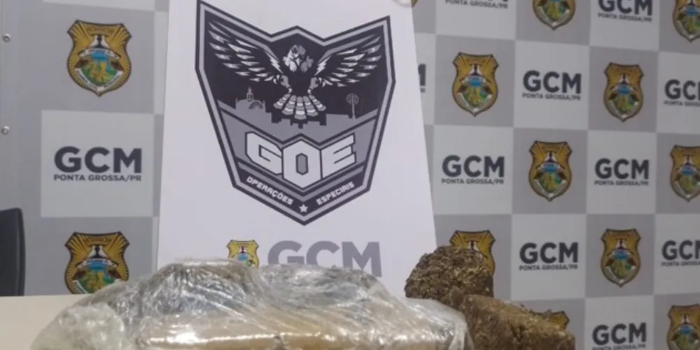 Imagem ilustrativa da imagem Dupla 'joga maconha' e foge após perseguição em PG