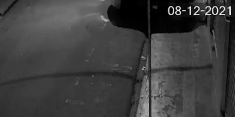 Os bandidos invadiram uma loja de roupas inaugurada há menos de um mês.