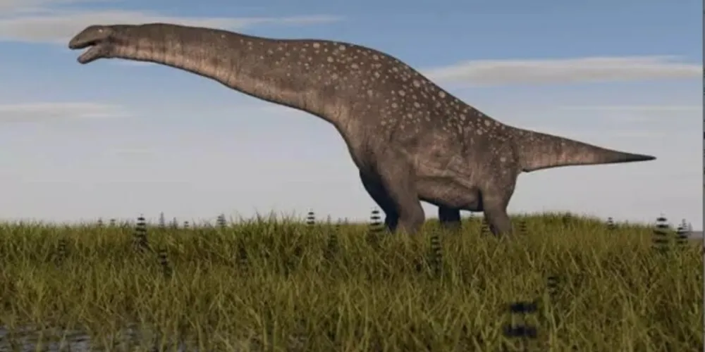 Ossos de titanossauro estavam na Rodovia Rachid Rayes, sentido Assis; eles foram encaminhados ao Museu de Paleontologia