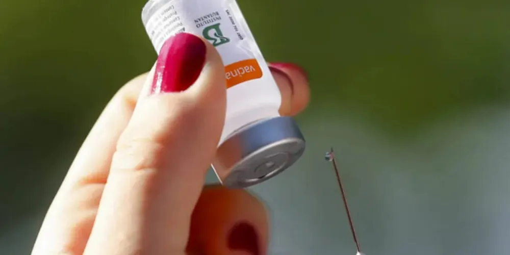 O projeto está funcionando desde o dia 1º deste mês.