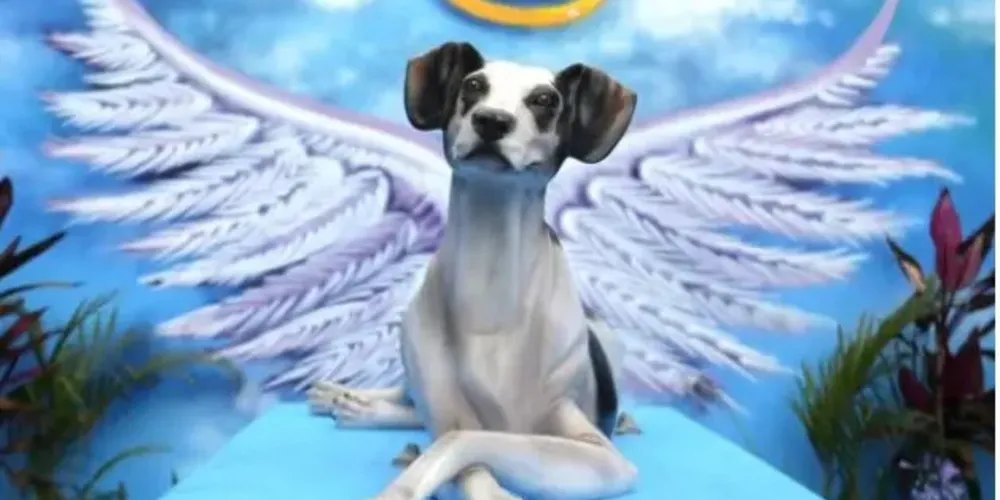 Manchinha ganhou uma estátua em sua homenagem no Pet Parque da cidade.