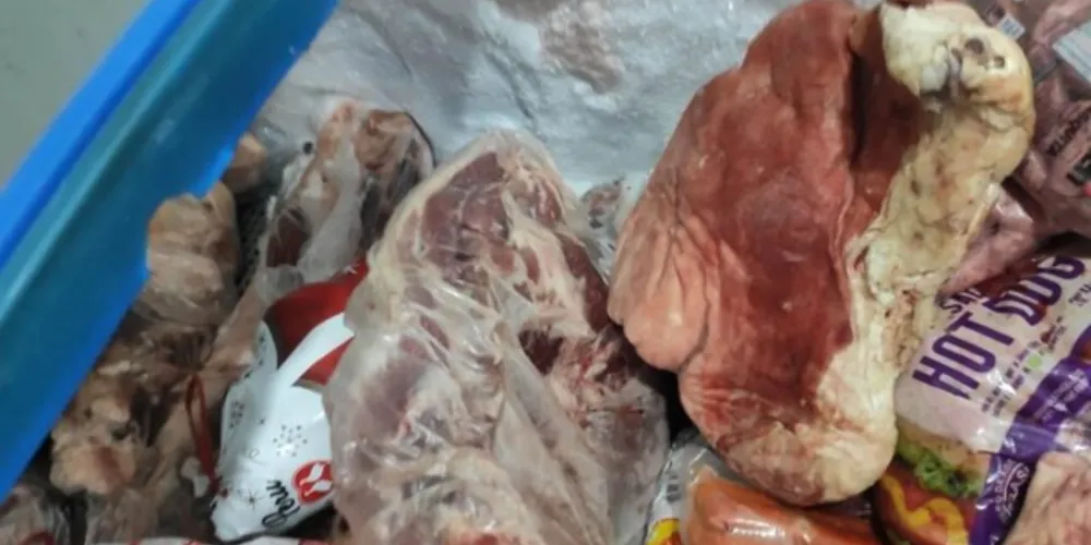 Bandejas de peixes e laticínios também foram encontrados com a validade expirada.