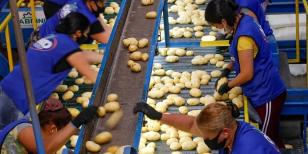 O aumento no preço da cesta básica de Ponta Grossa é referente ao mês de Outubro