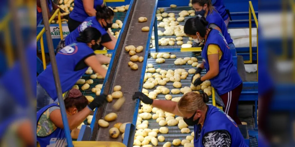 O aumento no preço da cesta básica de Ponta Grossa é referente ao mês de Outubro