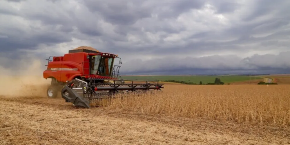Produção de soja na região será menos impactada devido ao plantio tardio do cultivar