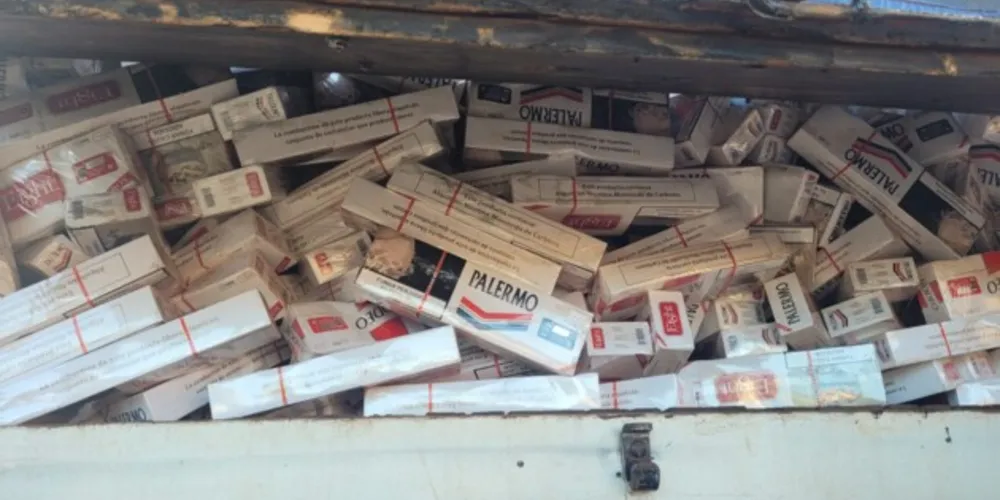 Imagem ilustrativa da imagem Caminhão é flagrado com 175 mil maços de cigarros na região