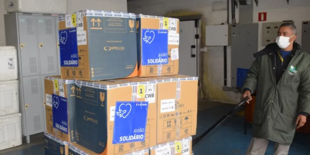 Imagem ilustrativa da imagem Saúde inicia distribuição de 567 mil vacinas contra a covid-19