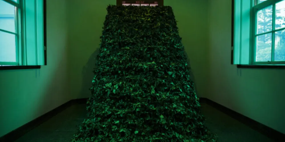 Instalação “Verde é o Verde".