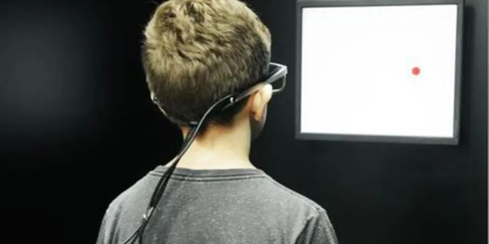 É o que determina lei publicada hoje no Diário Oficial da União.