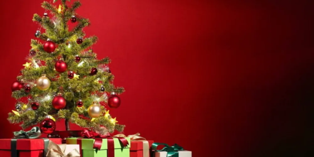 Conheça os principais símbolos do Natal
