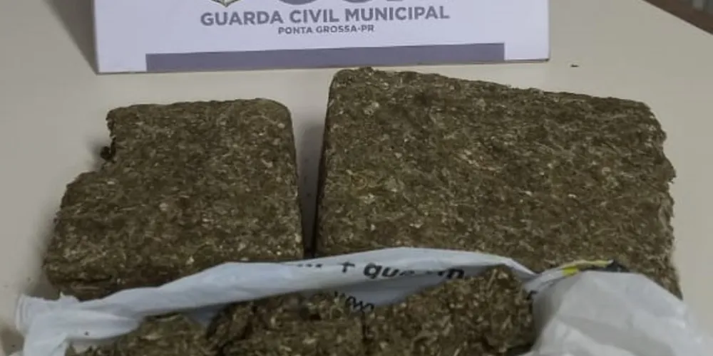 Droga foi apreendida nesta madrugada