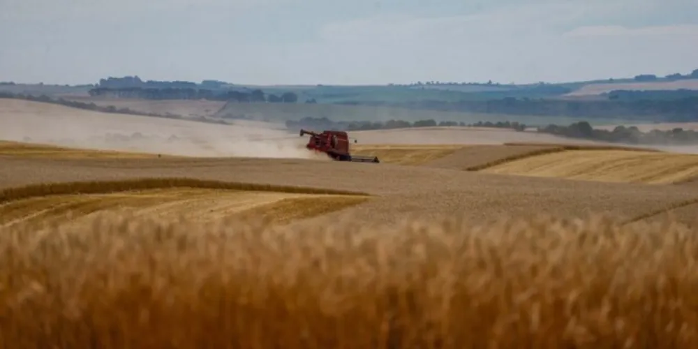 Safra de grãos de verão no Paraná pode chegar a 25,61 milhões de toneladas