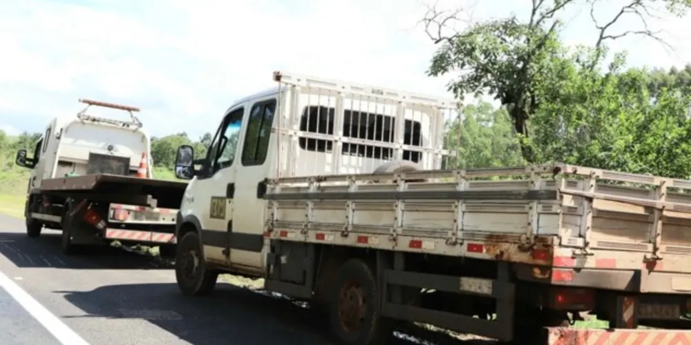 Rodovias estaduais e federais do Anel de Integração serão atendidas com serviços de guincho leve e pesado após o fim dos pedágios. Investimento é de R$ 105,2 milhões