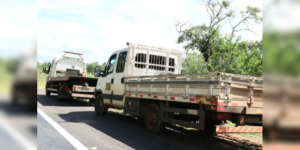 Rodovias estaduais e federais do Anel de Integração serão atendidas com serviços de guincho leve e pesado após o fim dos pedágios. Investimento é de R$ 105,2 milhões