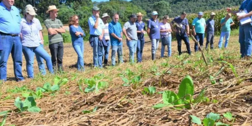 Novos programas lançados pelo Estado foram levados aos produtores