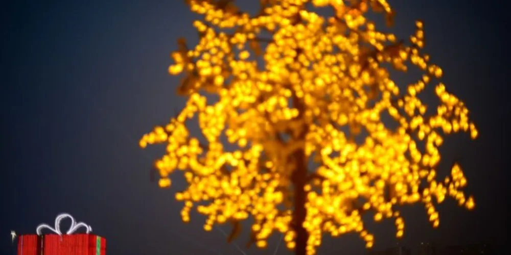 Nem parece, mas já estamos no último mês de 2021. O Hoje é Dia de Dezembro