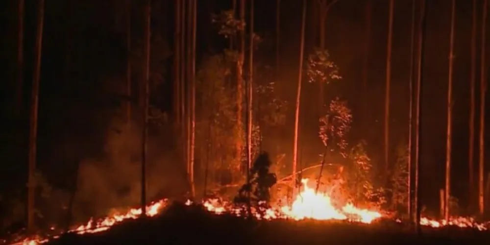 O combate às chamas mobilizou o Corpo de Bombeiros na madrugada desta sexta-feira (10).