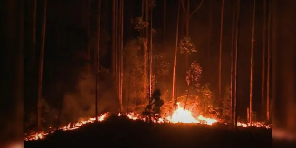 O combate às chamas mobilizou o Corpo de Bombeiros na madrugada desta sexta-feira (10).