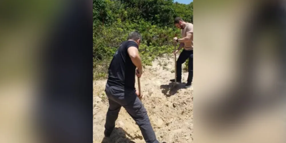 A jovem que vivia na Grande Curitiba estava desaparecida desde 14 novembro; a vítima estava enterrada em uma praia de Laguna