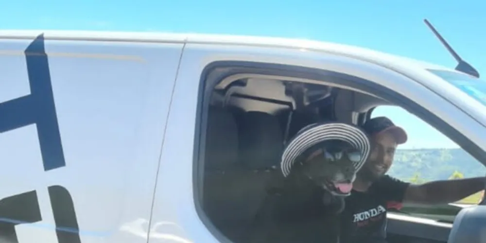 A labradora usava óculos de sol, um chapéu e estava sentada na cadeira de praia em Florianópolis no dia 1 de janeiro