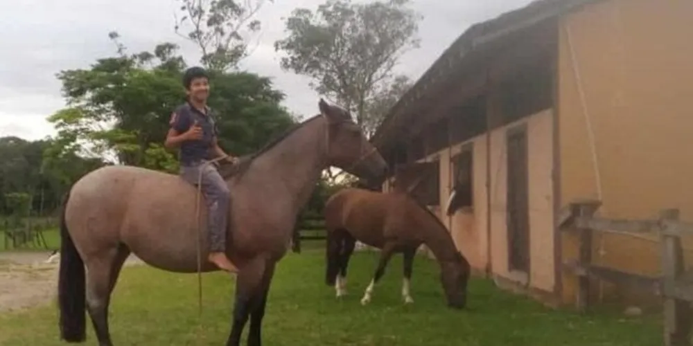 A criança teve uma parada cardiorrespiratória e morreu no local.