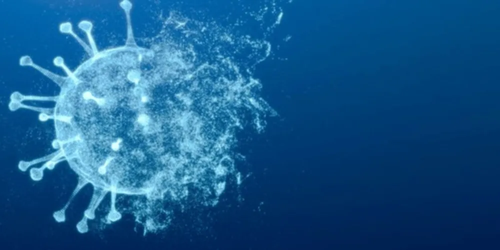 Nova variante possui mais de 50 mutações e é mais transmissível 