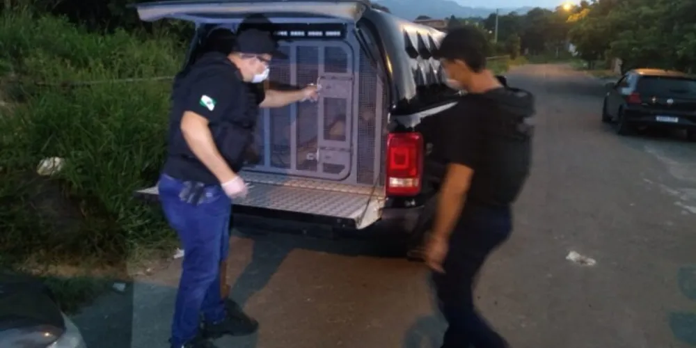 Cinco pessoas já foram presas desde o início da operação