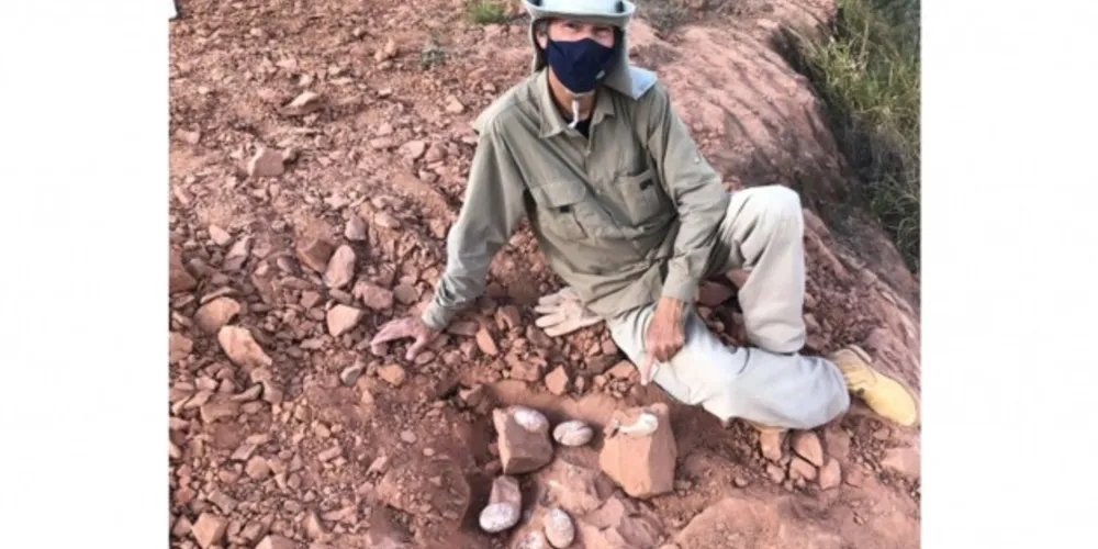 William Nava, divulgou nesta semana mais uma importante descoberta de suas escavações