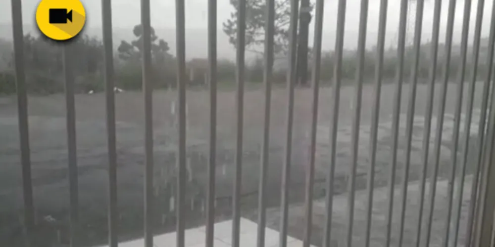 Enquanto alguns bairros da região Sul ainda contemplam o sol, moradores do Jardim Carvalho e áreas ao entorno confirmam chuvas fortes acompanhadas de ventos