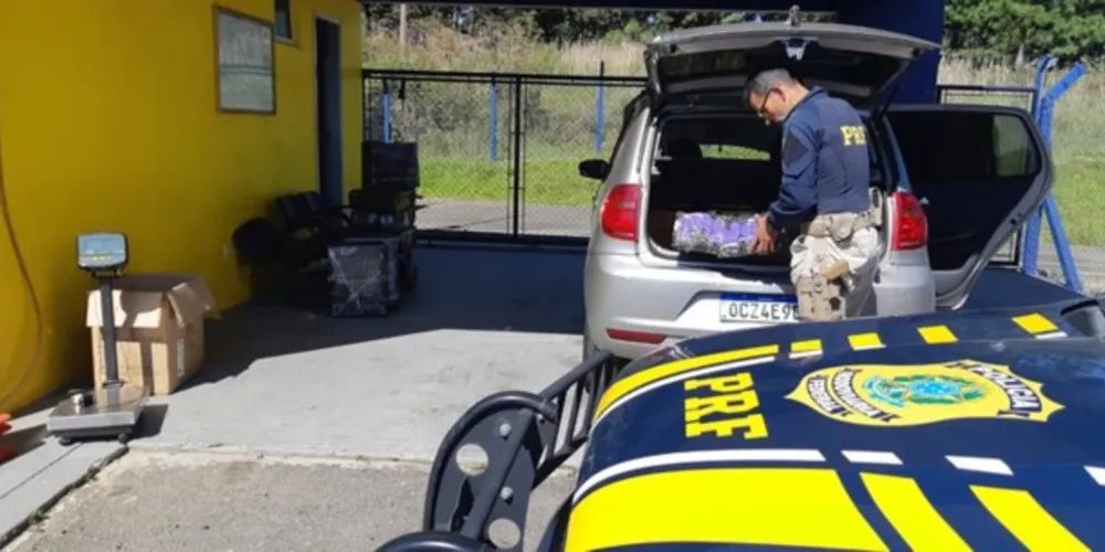 O motorista, morador de Cascavel, admitiu que entregaria a maconha em Curitiba. Ele foi preso e conduzido com a droga e o veículo para a delegacia de Polícia Civil de Campo Largo