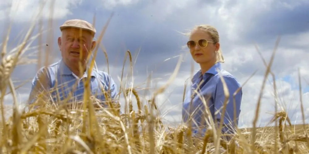 A cevada é uma cultura de inverno, com plantio iniciado em julho e a colheita em novembro.