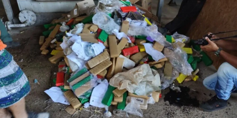 O material foi apreendido no último semestre na região