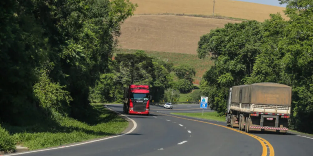 O valor total dos cinco lotes ficou em R$ 93.491.447,26 para execução de serviços ao longo de 730 dias (dois anos).