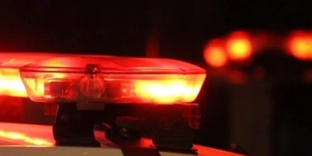 O homem foi abordado por dois indivíduos que deram voz de assalto portando uma arma de fogo.