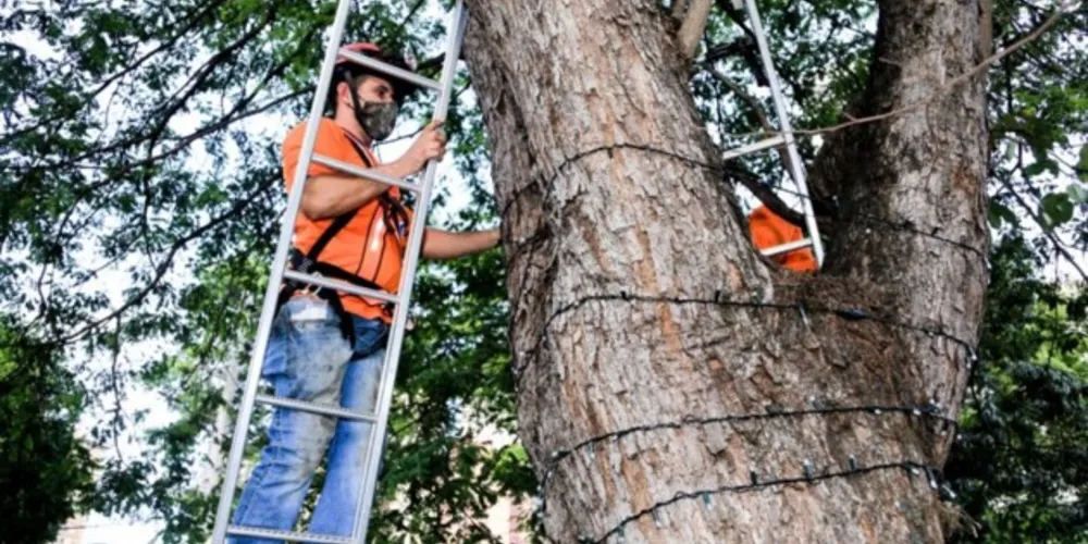 Cerca de 300 metros de fios elétricos foram roubados da decoração natalina.