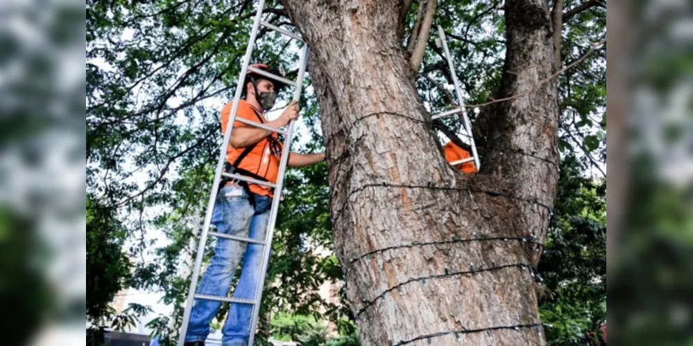 Cerca de 300 metros de fios elétricos foram roubados da decoração natalina.