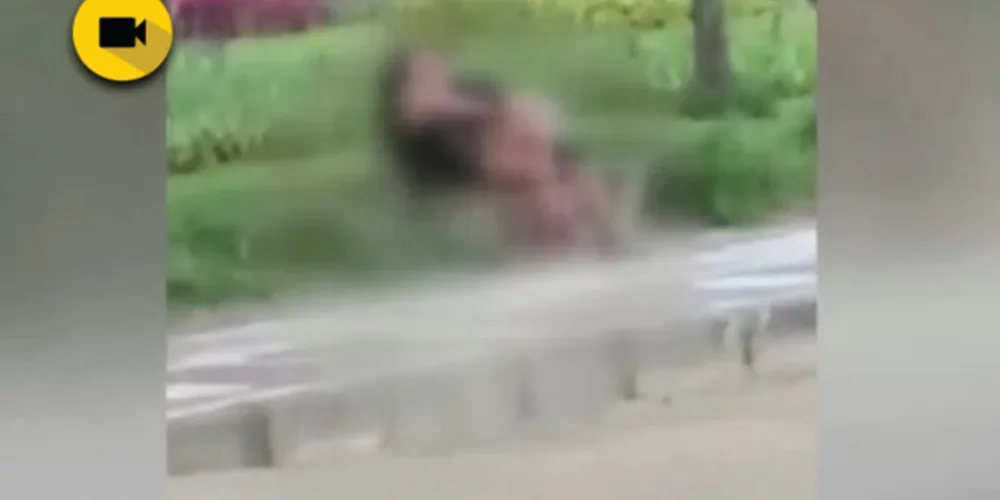 Imagem ilustrativa da imagem Casal é flagrado em sexo na orla em praia de SP; vídeo