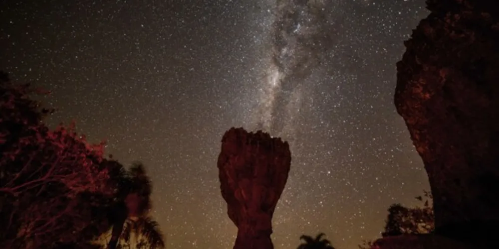 Parque Vila Velha lança temporada 2022 da sua Caminhada Noturna com novidades