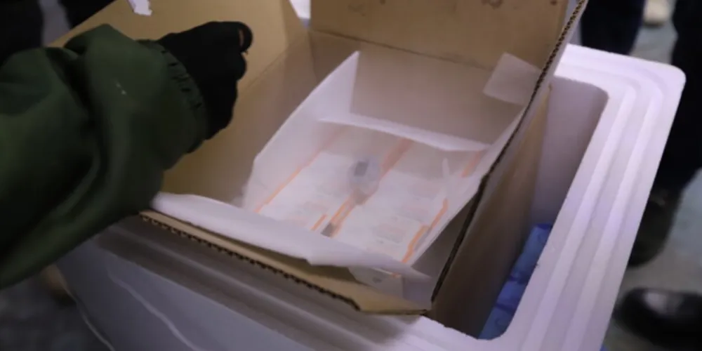 As doses são destinadas a crianças de 5 a 11 anos e fazem parte do primeiro lote