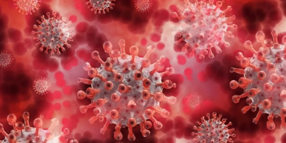 A variante pode se tornar responsável pela maior parte de novos registros de infecção pelo novo coronavírus