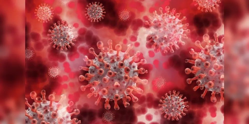 A variante pode se tornar responsável pela maior parte de novos registros de infecção pelo novo coronavírus