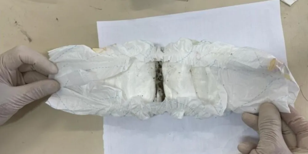 Maconha foi encontrada em fralda de bebê por direção de creche em Feliz