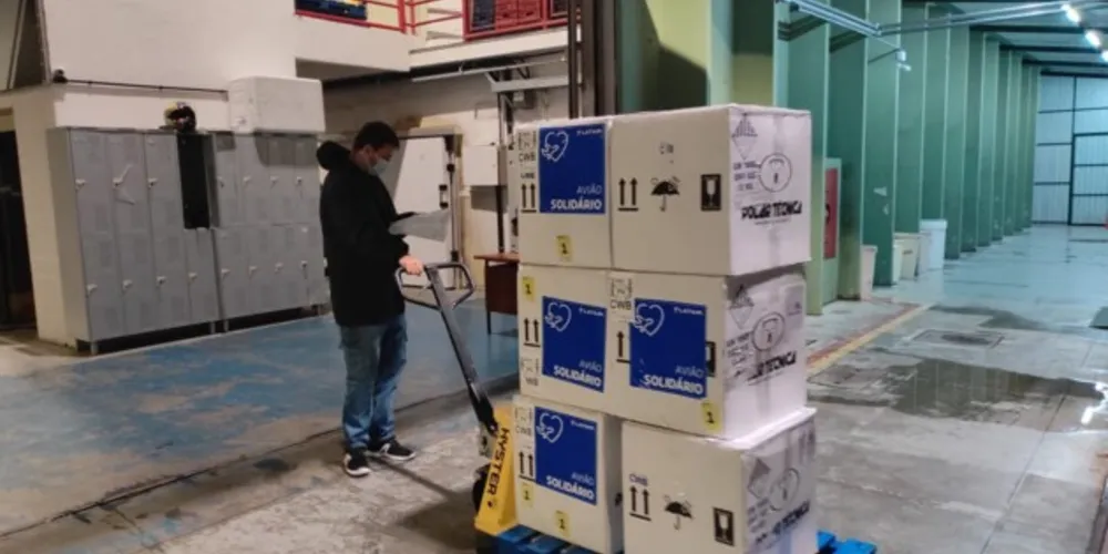 Imagem ilustrativa da imagem PR recebe mais de 65 mil doses de vacinas pediátricas