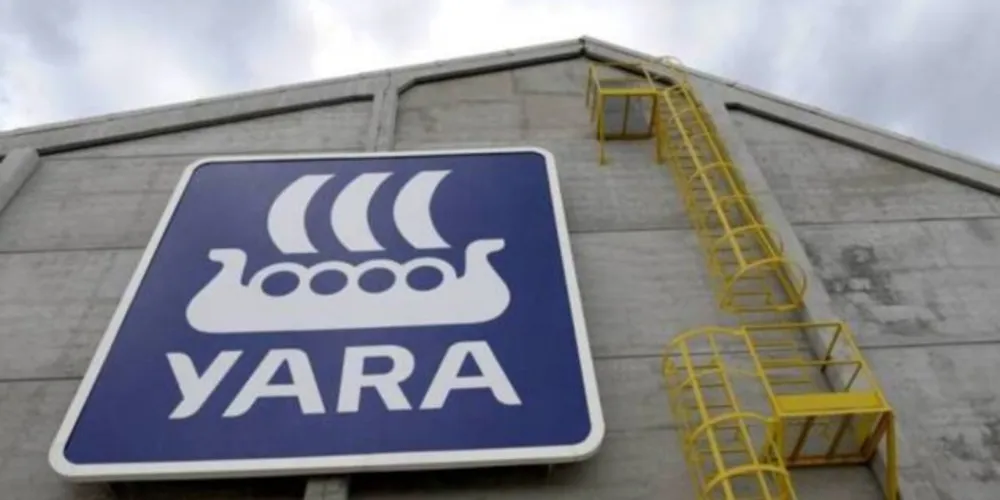 Empresa disponibiliza 50 vagas em diversas áreas e unidades da companhia
