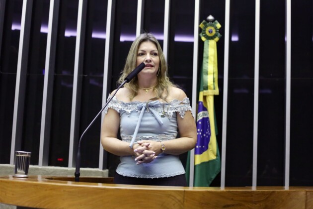 Deputada federal do Paraná, Aline Sleutjes (PSL).