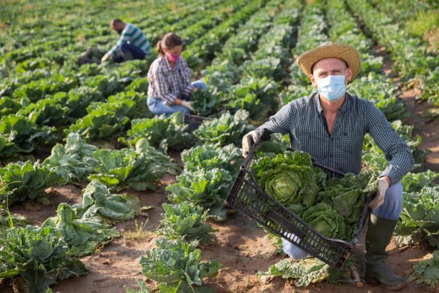 Projeto avaliado em torno de R$ 287 mil deve fomentar a produção de alimentos na zona rural