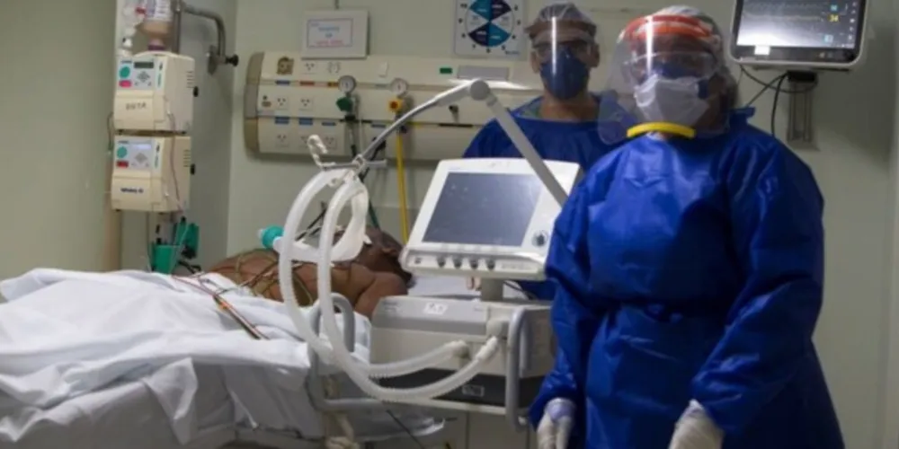 Imagem ilustrativa da imagem Saúde confirma mais 62 casos e 17 óbitos pela H3N2 no Paraná
