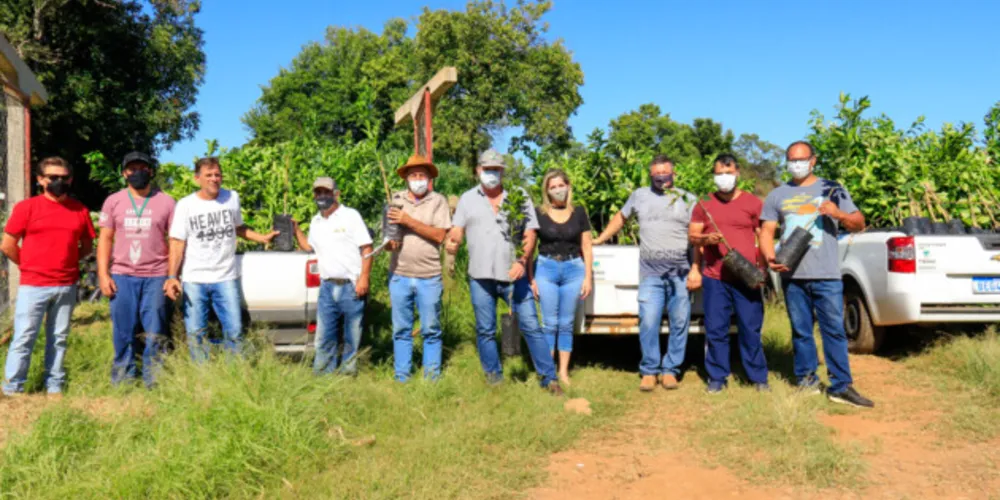 Serão distribuídas mudas de ponkan, laranja lima e de limão taiti