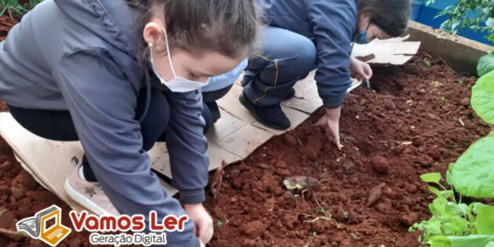Alunos colocaram 'mão na terra' para trabalhar conteúdo importante