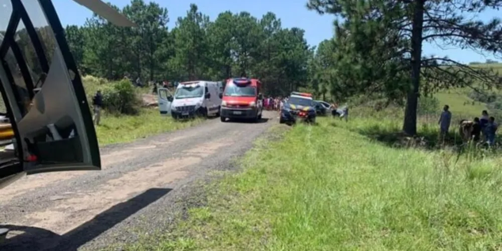 Menina morre após ser atingida por galho de árvore em Palmeira